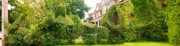 Topiary hedge.