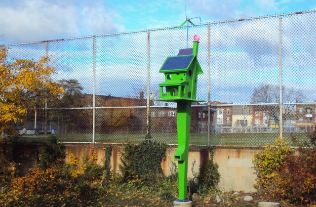 The Birdhouse on Rosemount Avenue