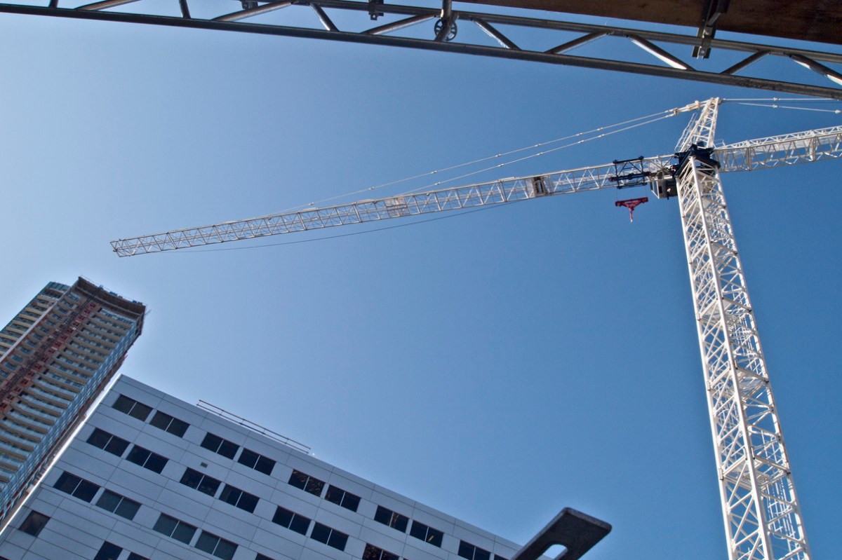 White crane against blue sky.