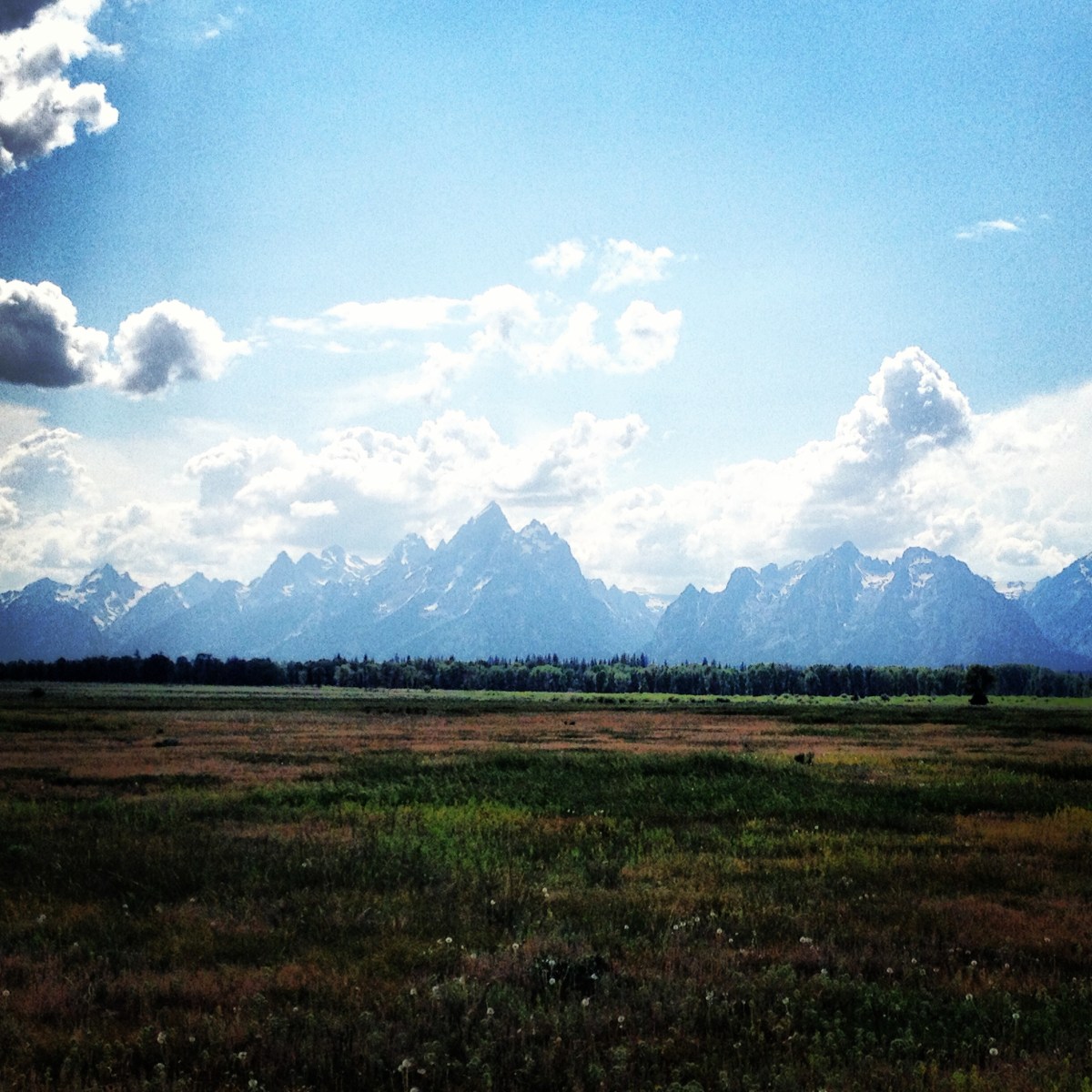 Grand Tetons.