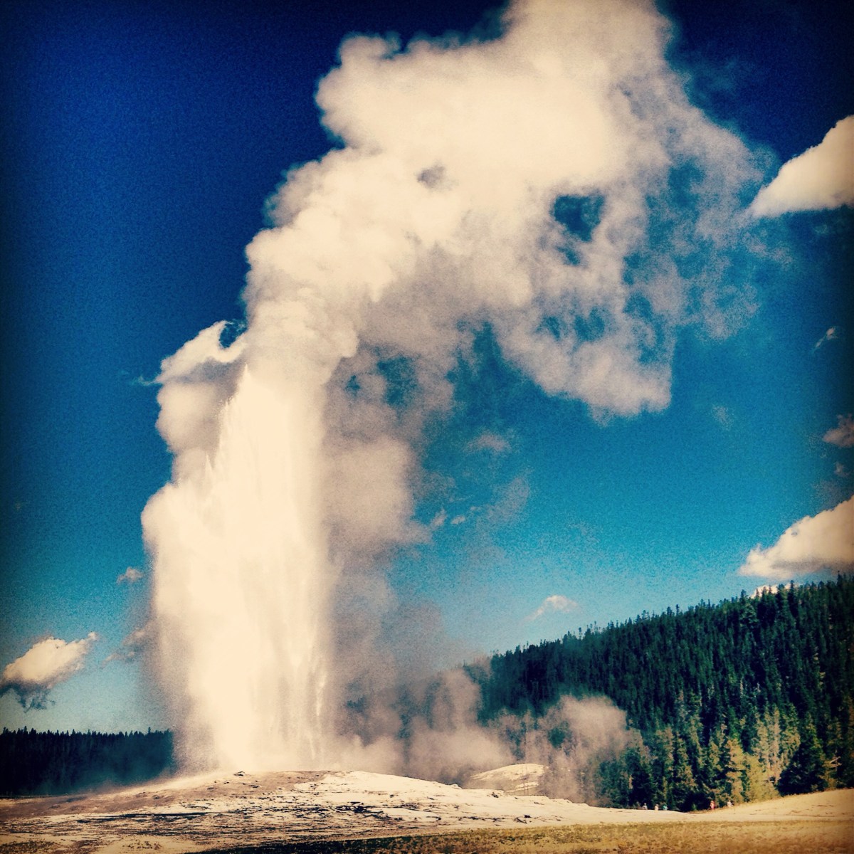 Old Faithful.