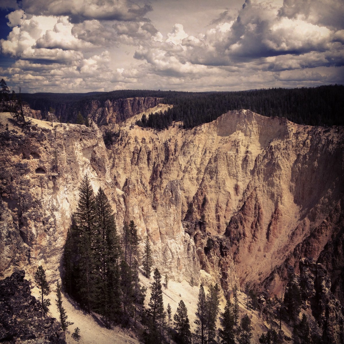 Canyon in Yellowstone.