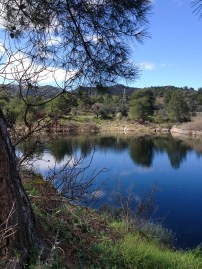Inherited property in Cyprus.