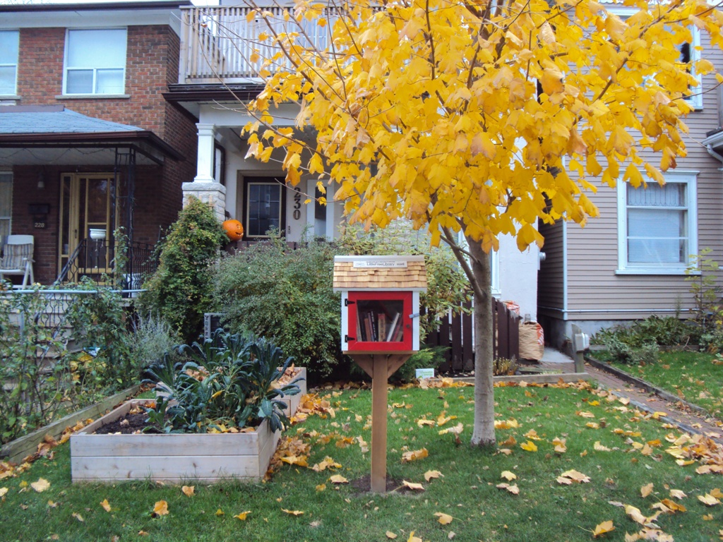 Littlest library in front yard.