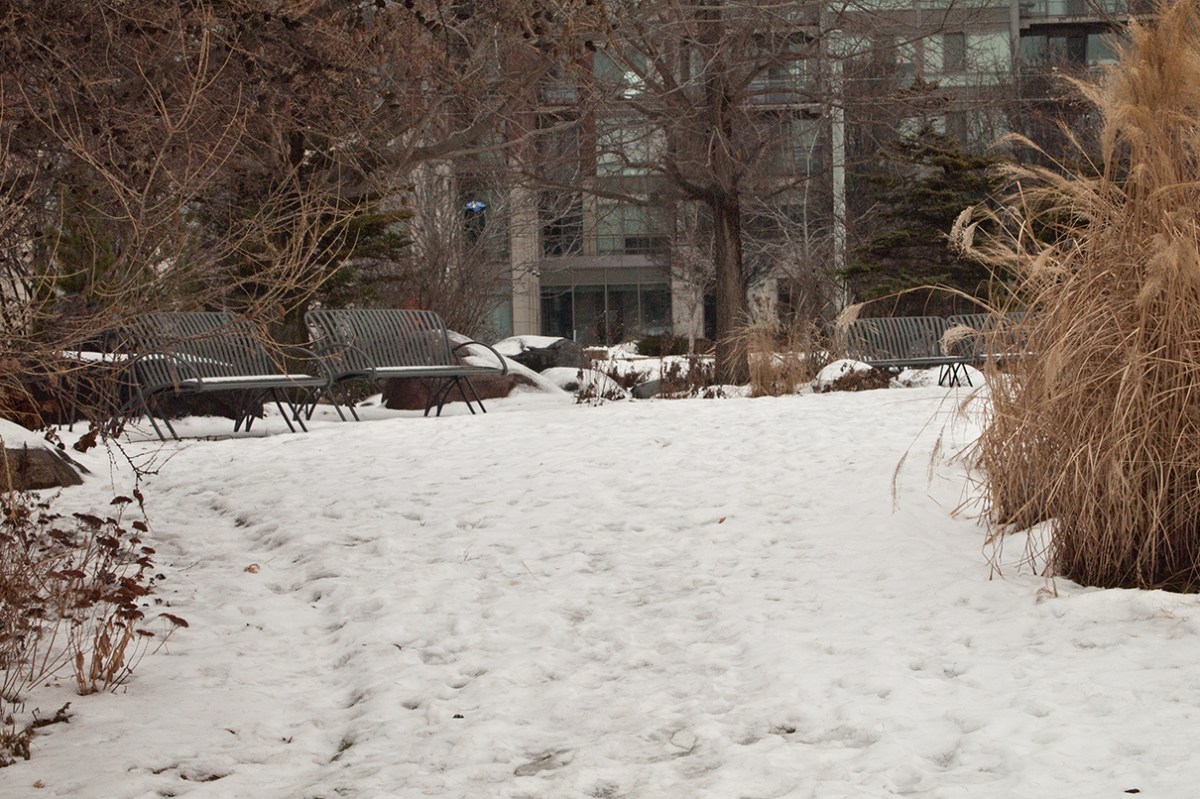 Benches in the snow.