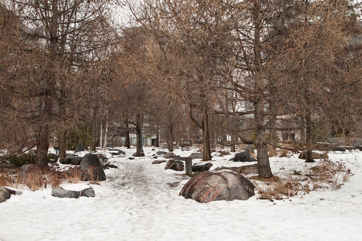 Snow-covered path into trees.
