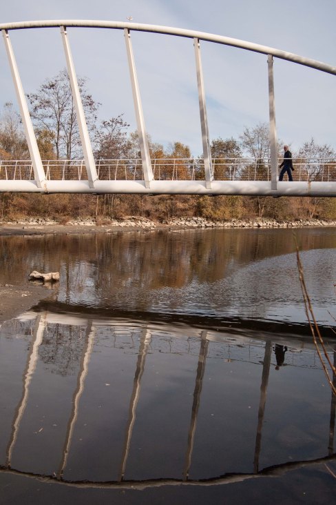 Mimico with reflection
