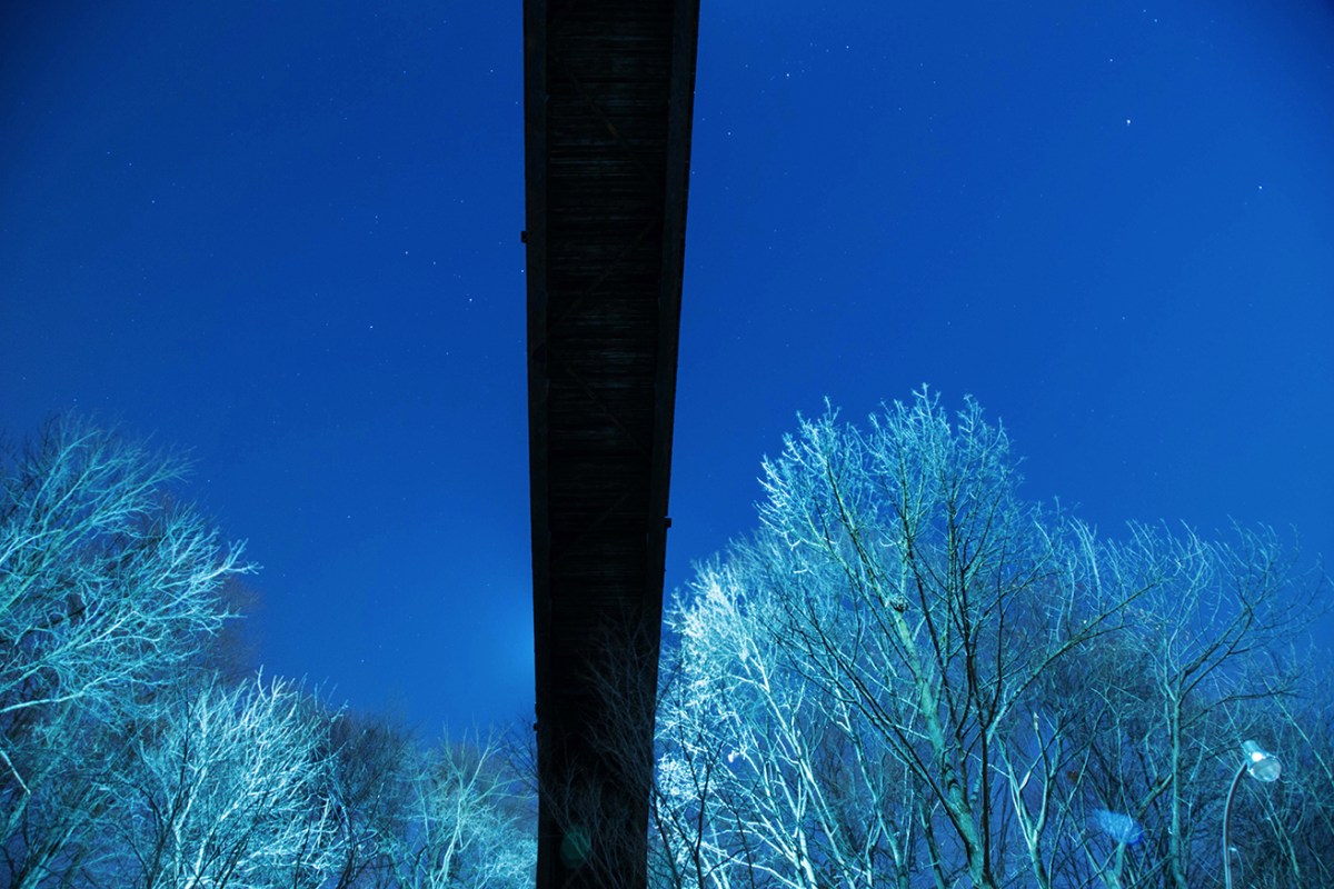 From underneath Rosedale Ravine Bridge in Toronto.