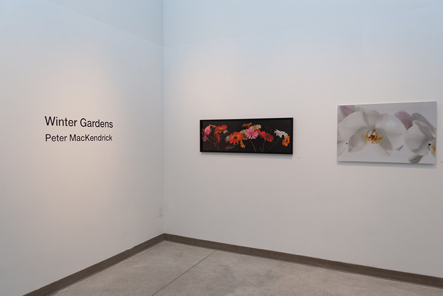 Peter MacKendrick's show at Wychwood community gallery.