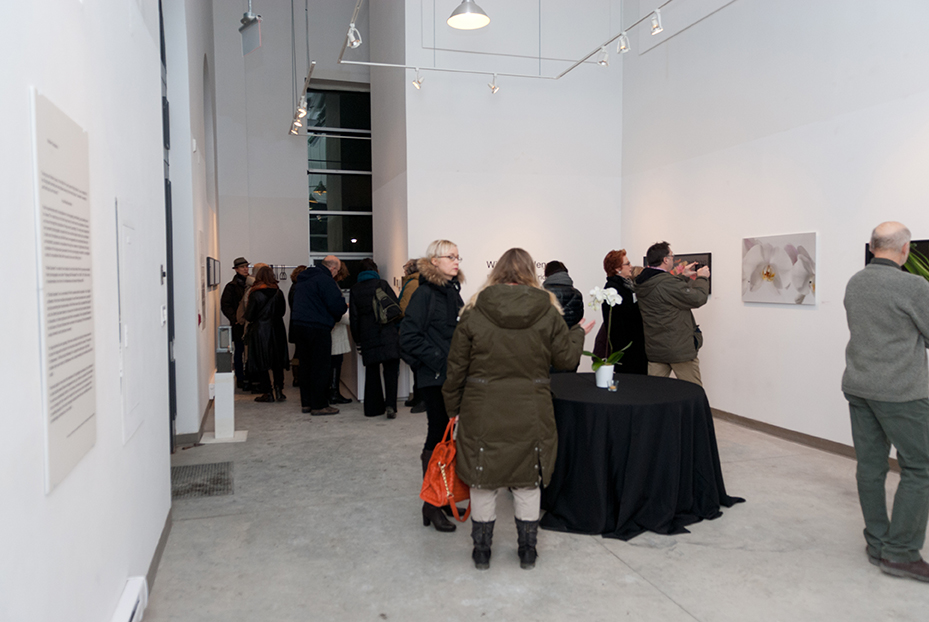 People in Wychwood community gallery at Peter MacKendrick's show.