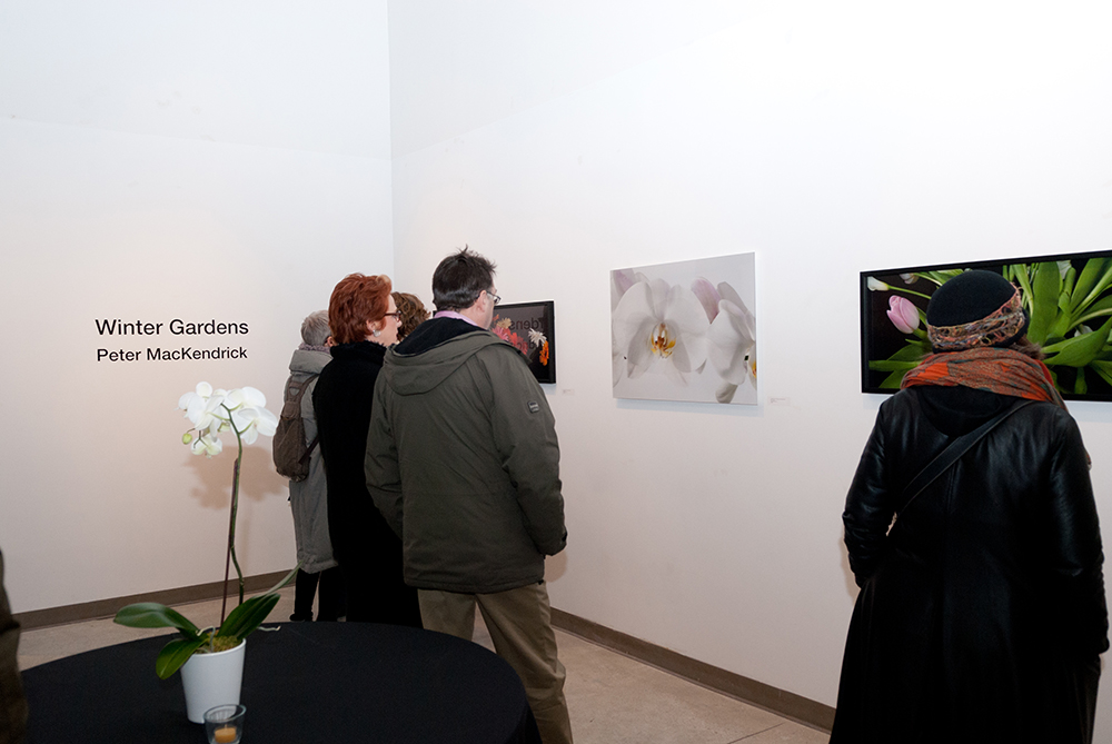 People in Wychwood community gallery at Peter MacKendrick's show.