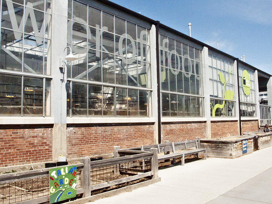Wychwood Barns greenhouse.