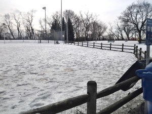 Dog park at Hillcrest Park.