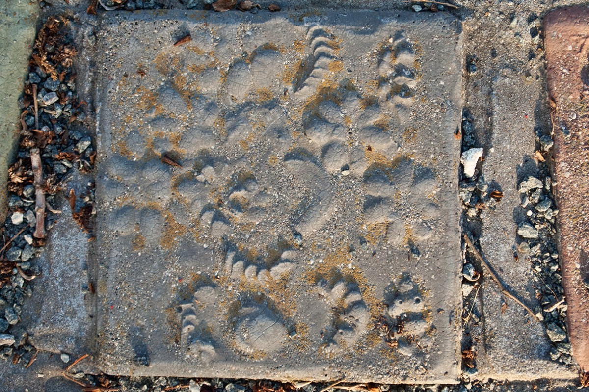 Community totem tile 535.