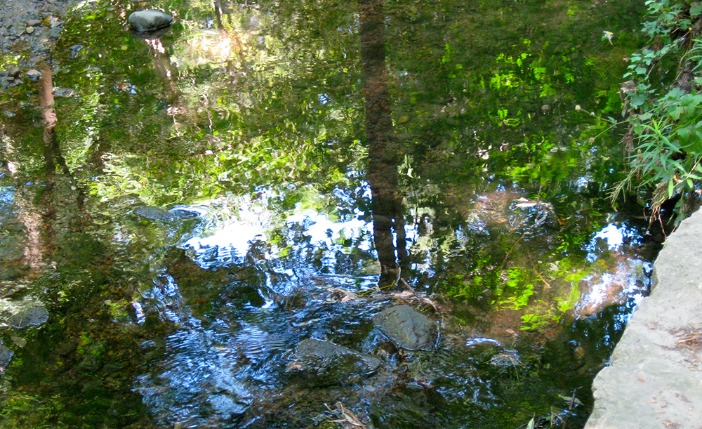 Sherwood Park water and reflection.