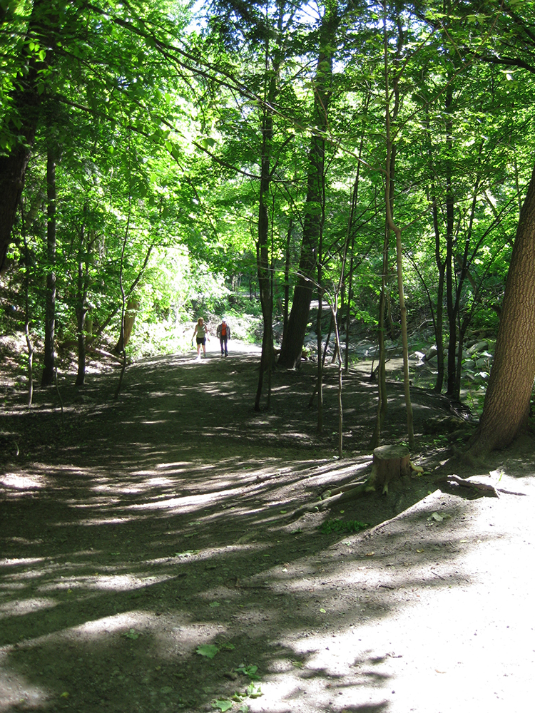 Sherwood Park walkers.