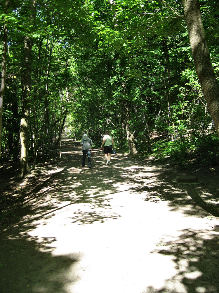 Sherwood Park trail.