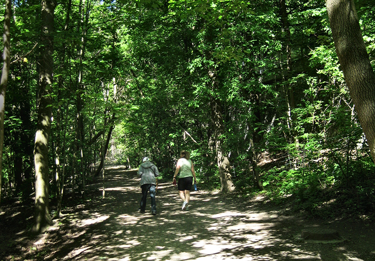Sherwood Park walking trail.