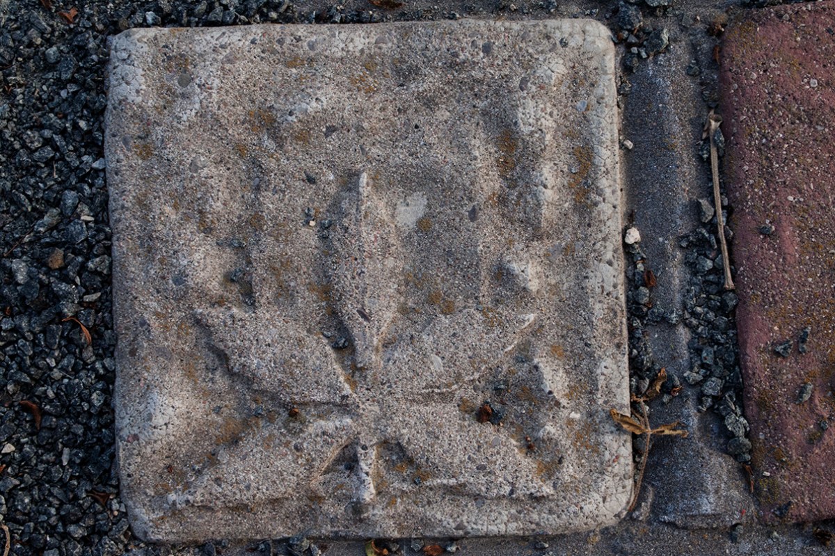 Cannabis leaf tile.