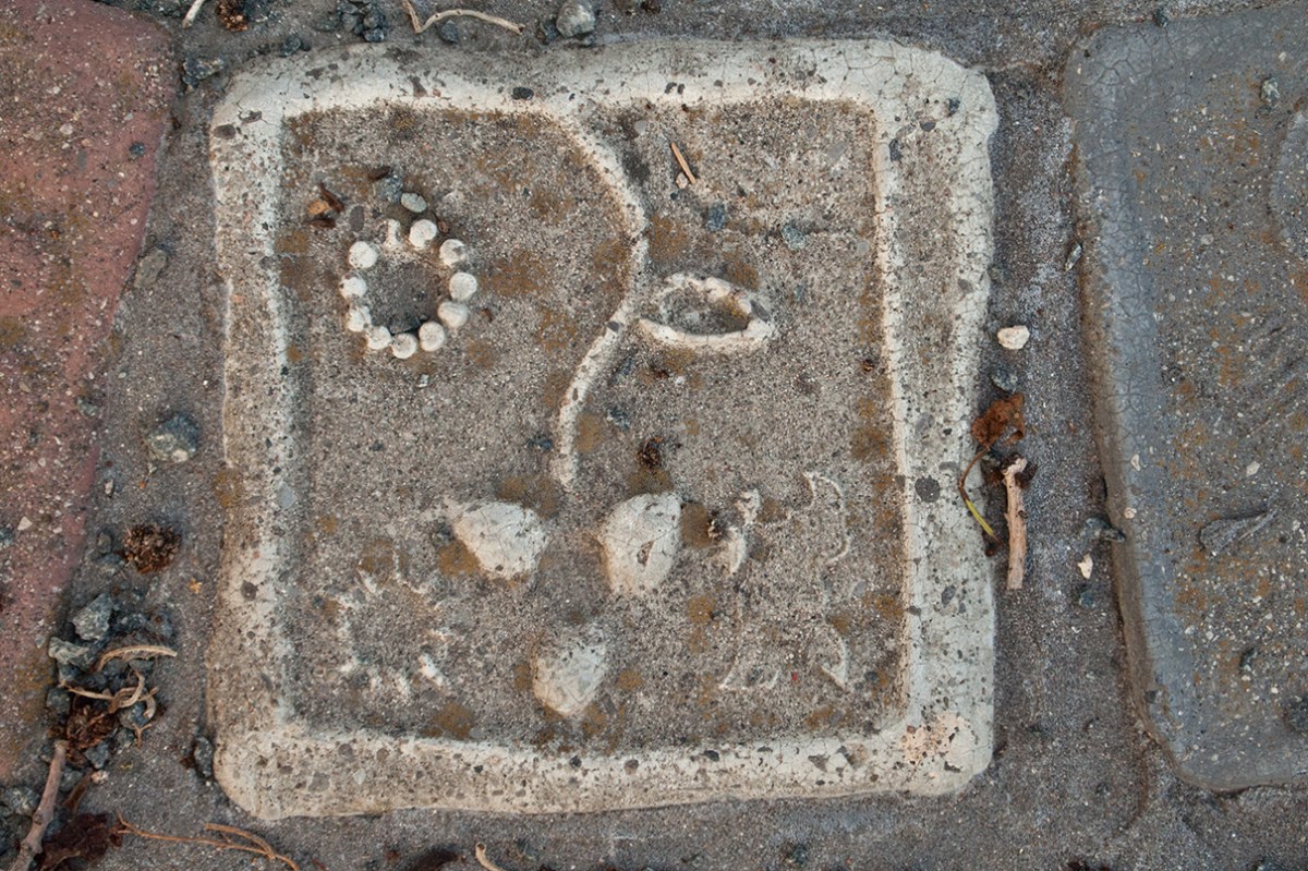 Flower face tile.