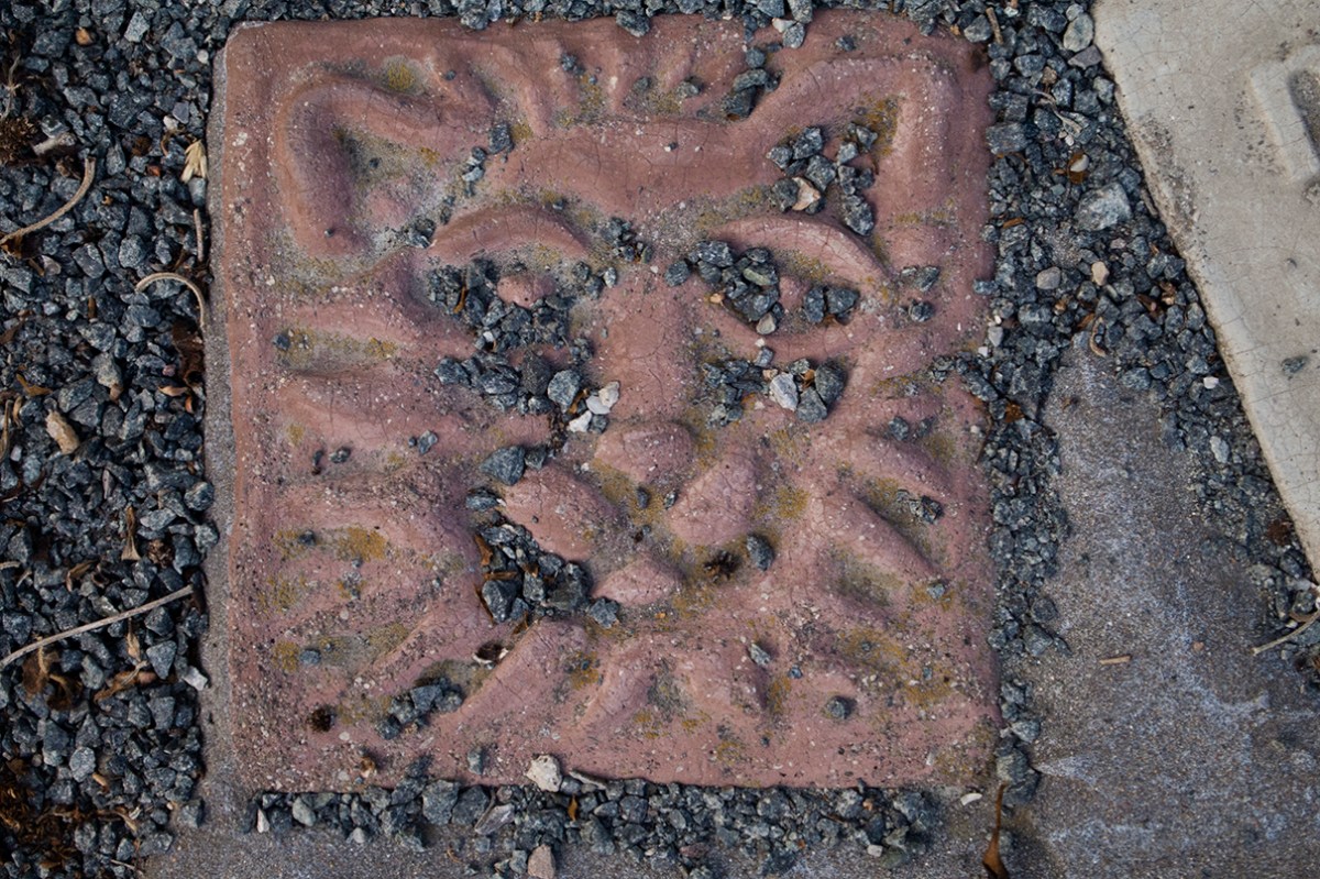 Lion tile.
