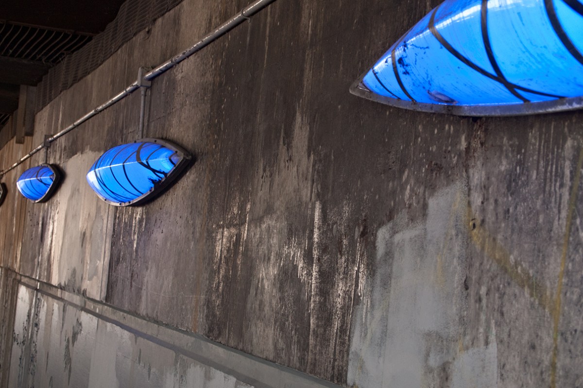 Light Canoe blue lights.