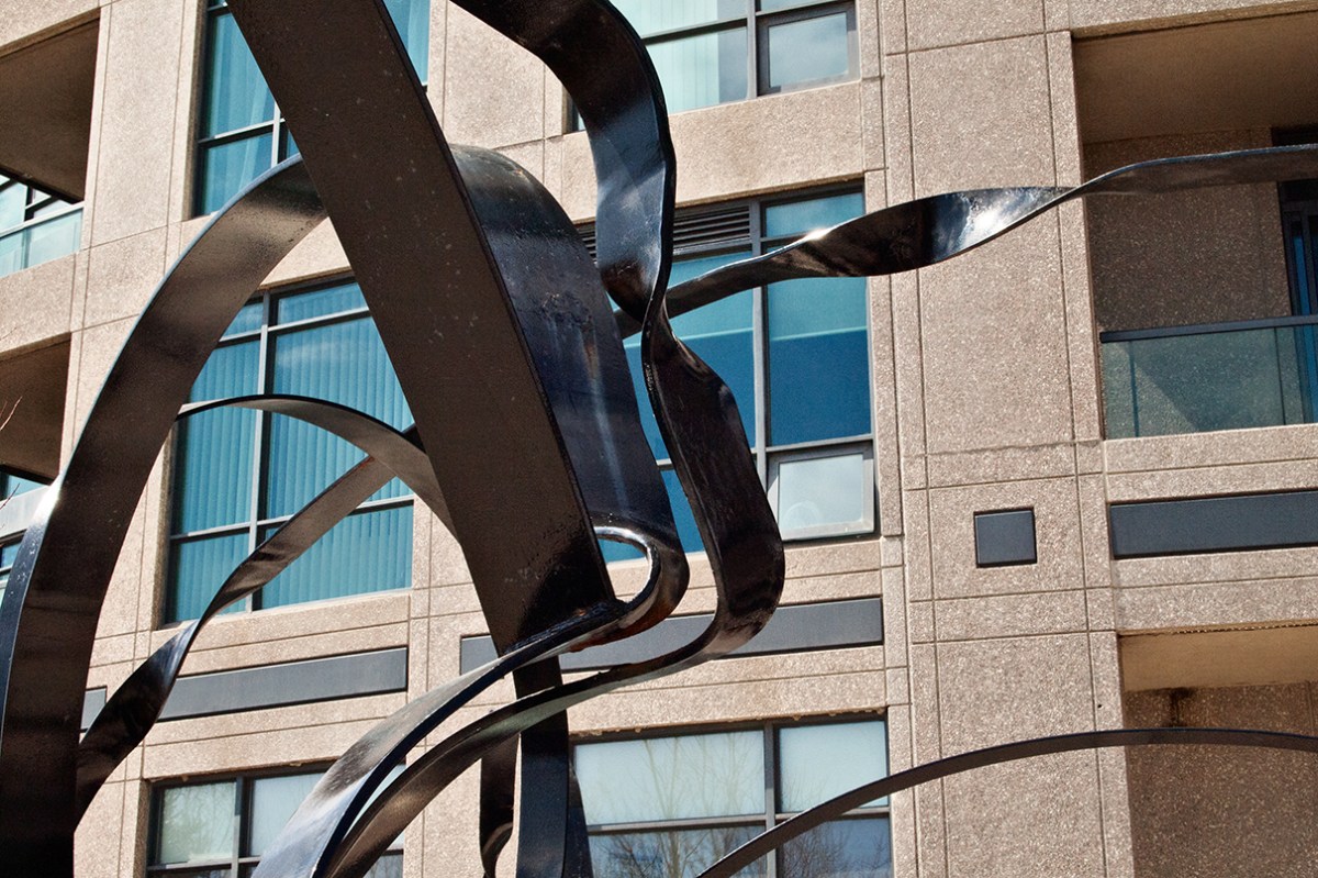 Fence on the Loose detail.