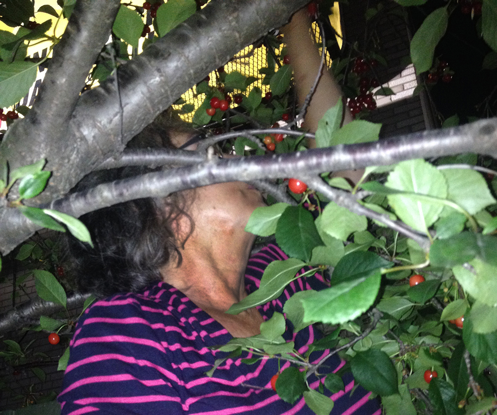 Picking cherries at night.