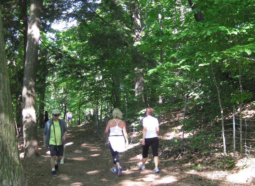 Walking in Sherwood Park.