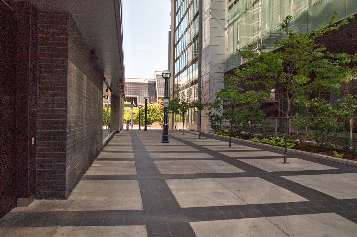 Ritz Carlton walkway.