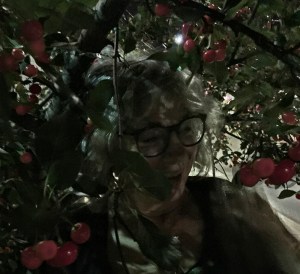 Moonlight cherry picking.
