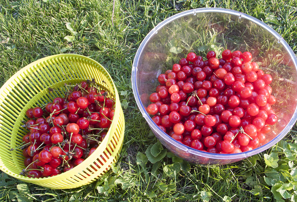 The cherry-picking take.