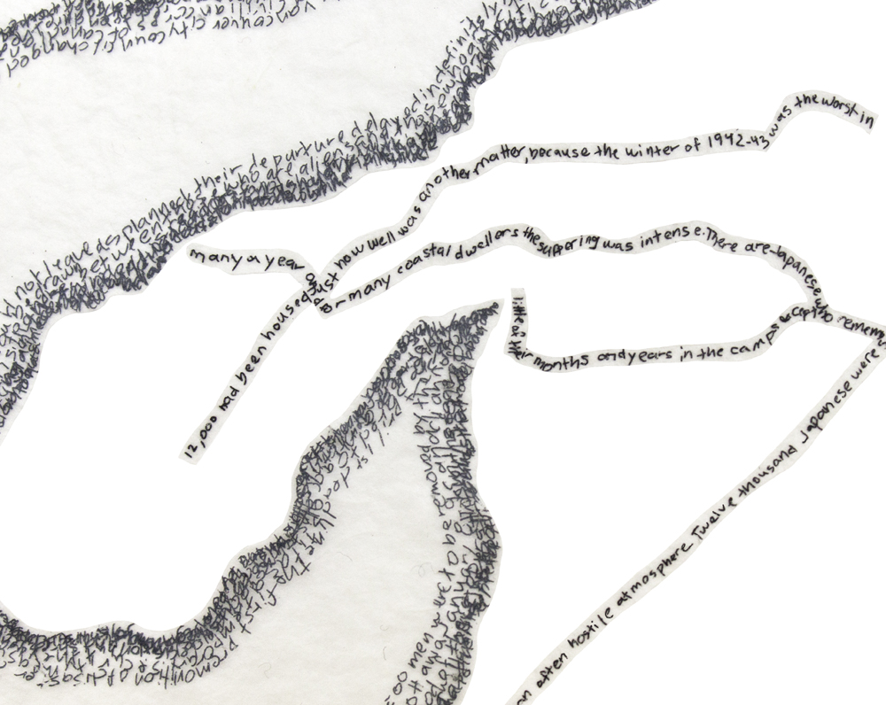 Upper Arrow Lake detail.