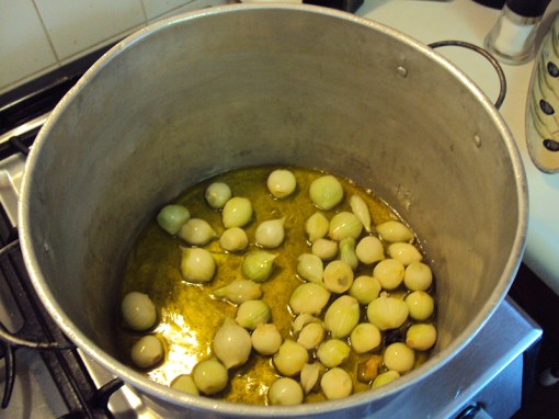 Pearl onions in pot.