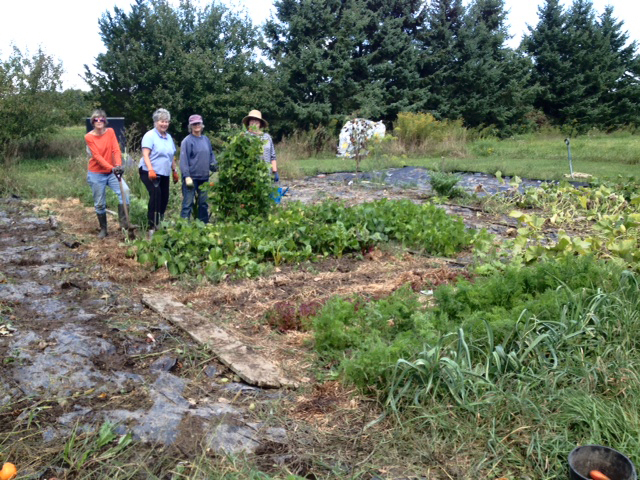 Workgroup standing in garden.