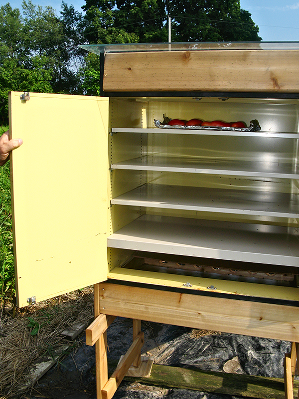 Tray of tomatoes in dehydrator.