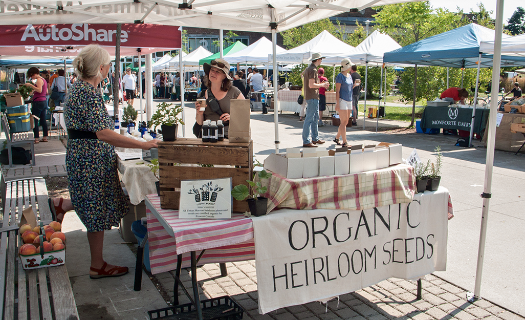 Seeds at farmers' market.