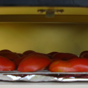 THE SOLAR DEHYDRA-REVOLUTIONATOR