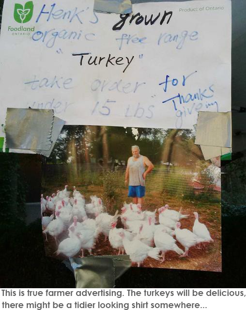 Turkey ad.