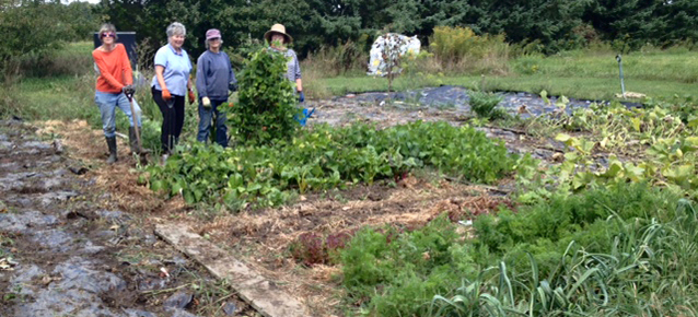 Workgroup in garden.