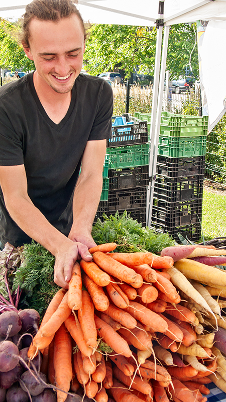 Paul arranging carrots.