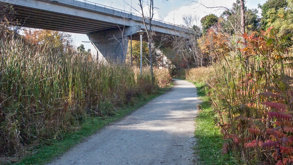 Under Bathurst Bridge.