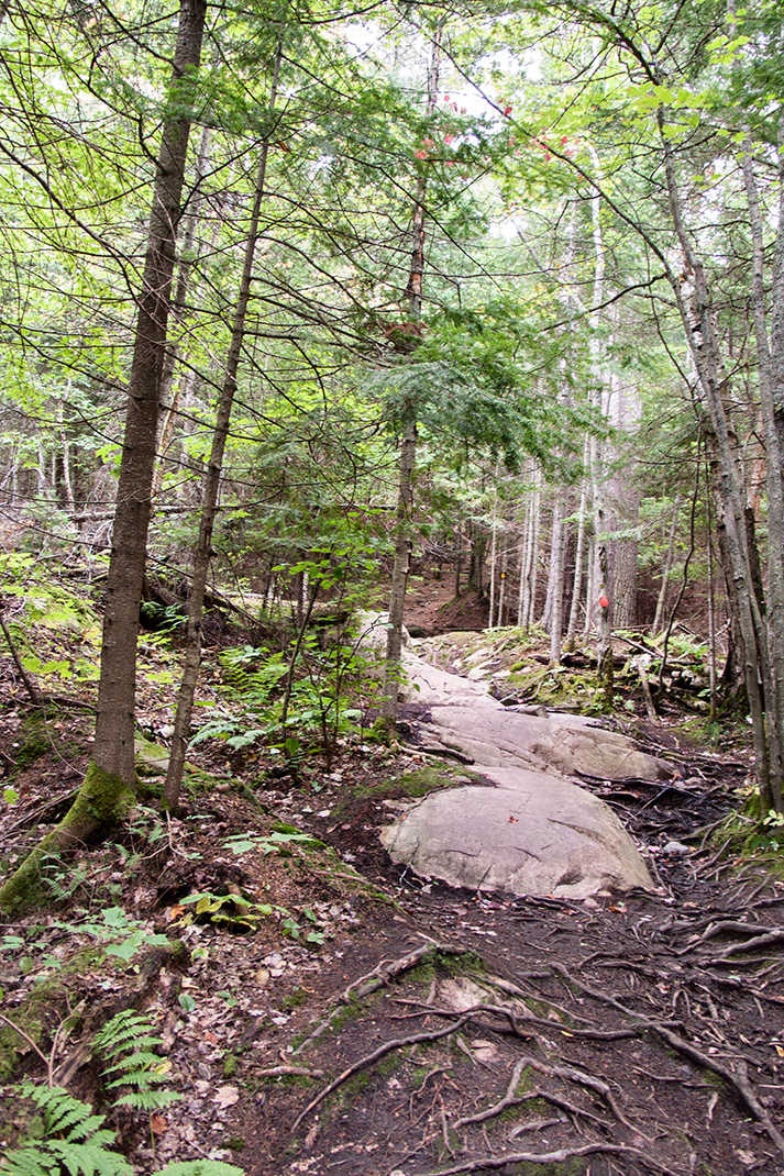 The Granite Ridge trail.