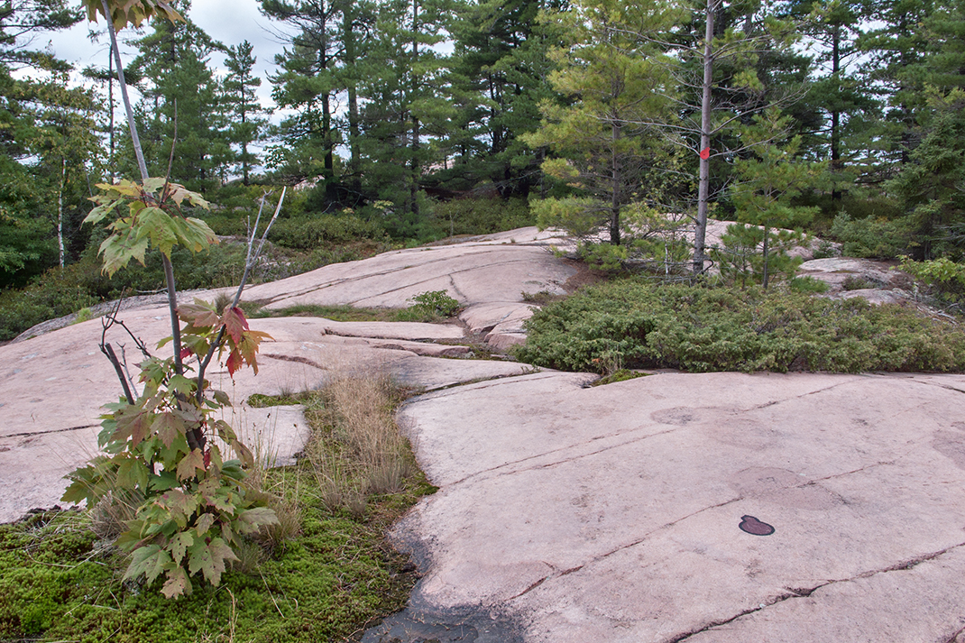 The trail with blazes.