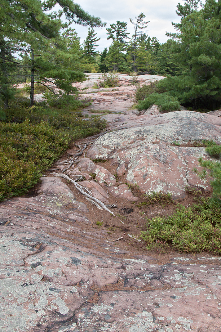 This is the Chikanishing Trail.