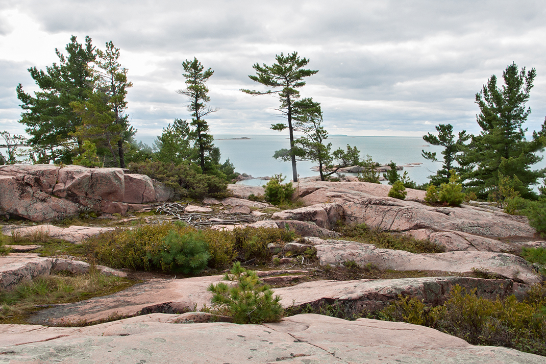 Trees, rock, water.