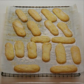 Gluten-free Lady Fingers or How to Use Up Spare&nbsp;Yolks