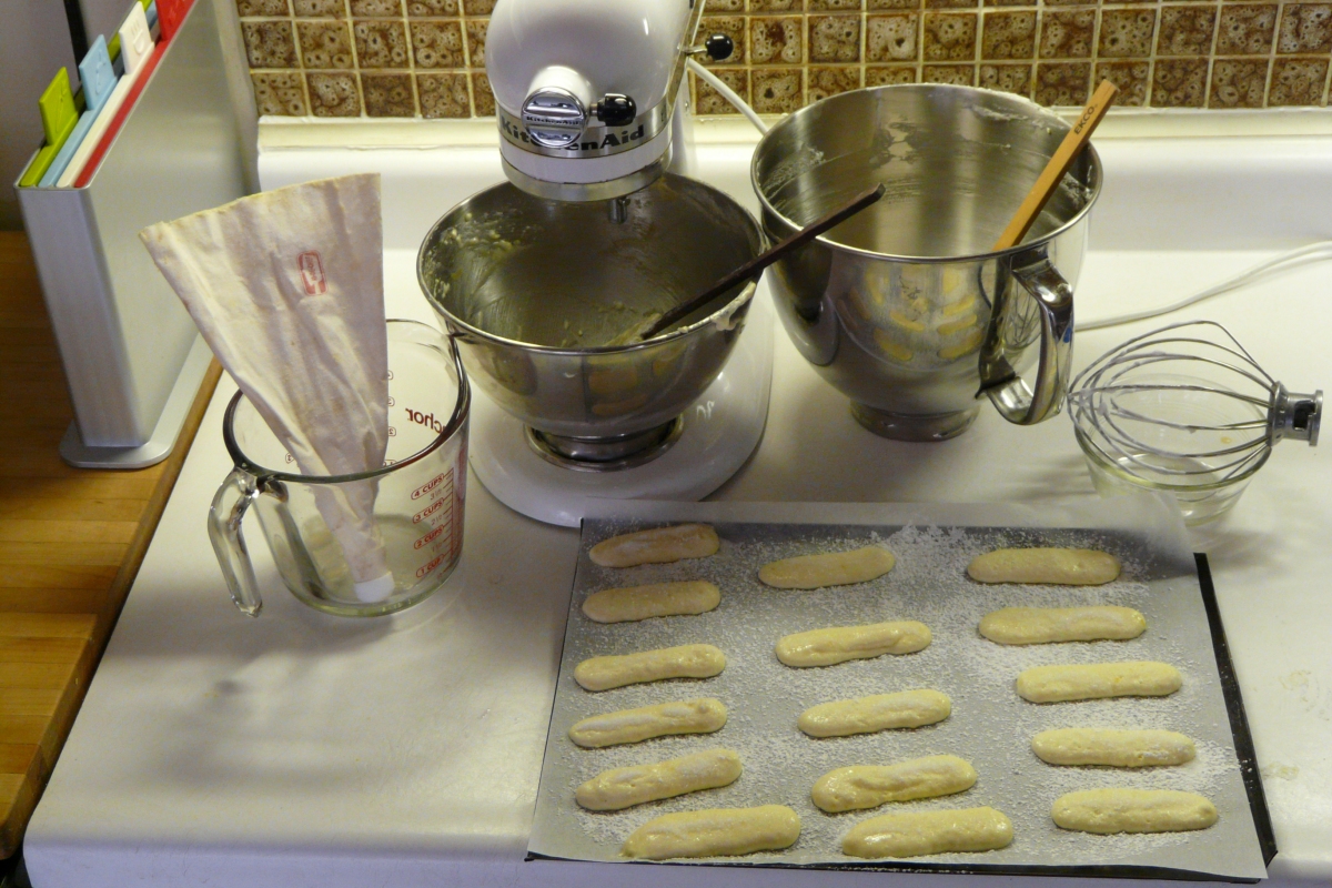 Savoiardi ready to go in over.