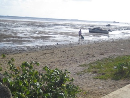 Beach near our house.