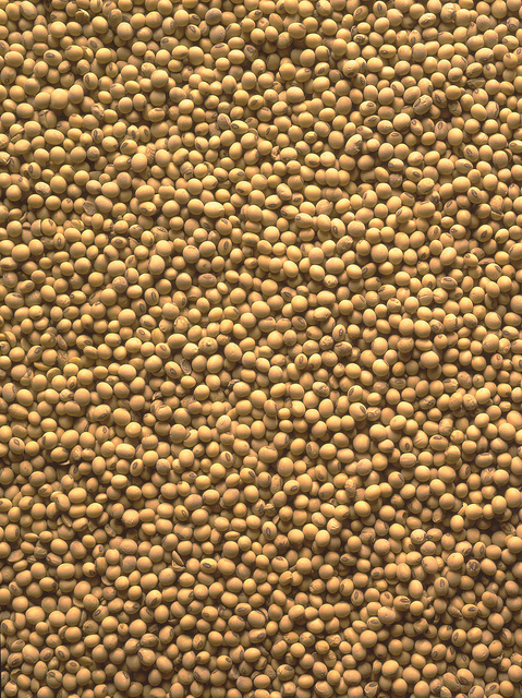 Soybeans.